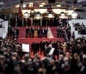 WhatsApp Image 2025 11 19 At 5.18.16 PM