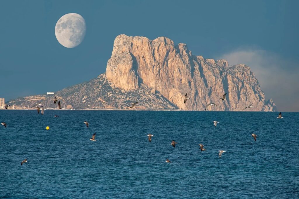 whatsapp image 2025 11 27 at 1.05.28 am